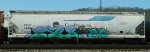 CCLX 52169